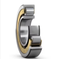 Cylindrical Roller Bearings